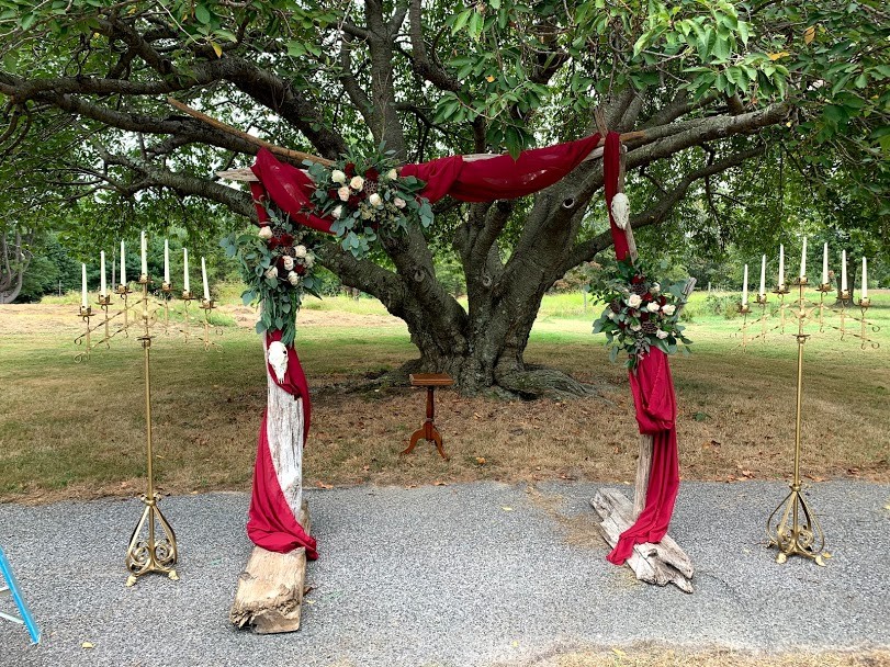 Manor infornt of tree with red cloth wrapped around it